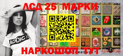 шишки Апшеронск
