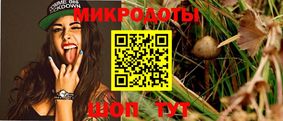 Псилоцибиновые грибы Psilocybine cubensis Бийск